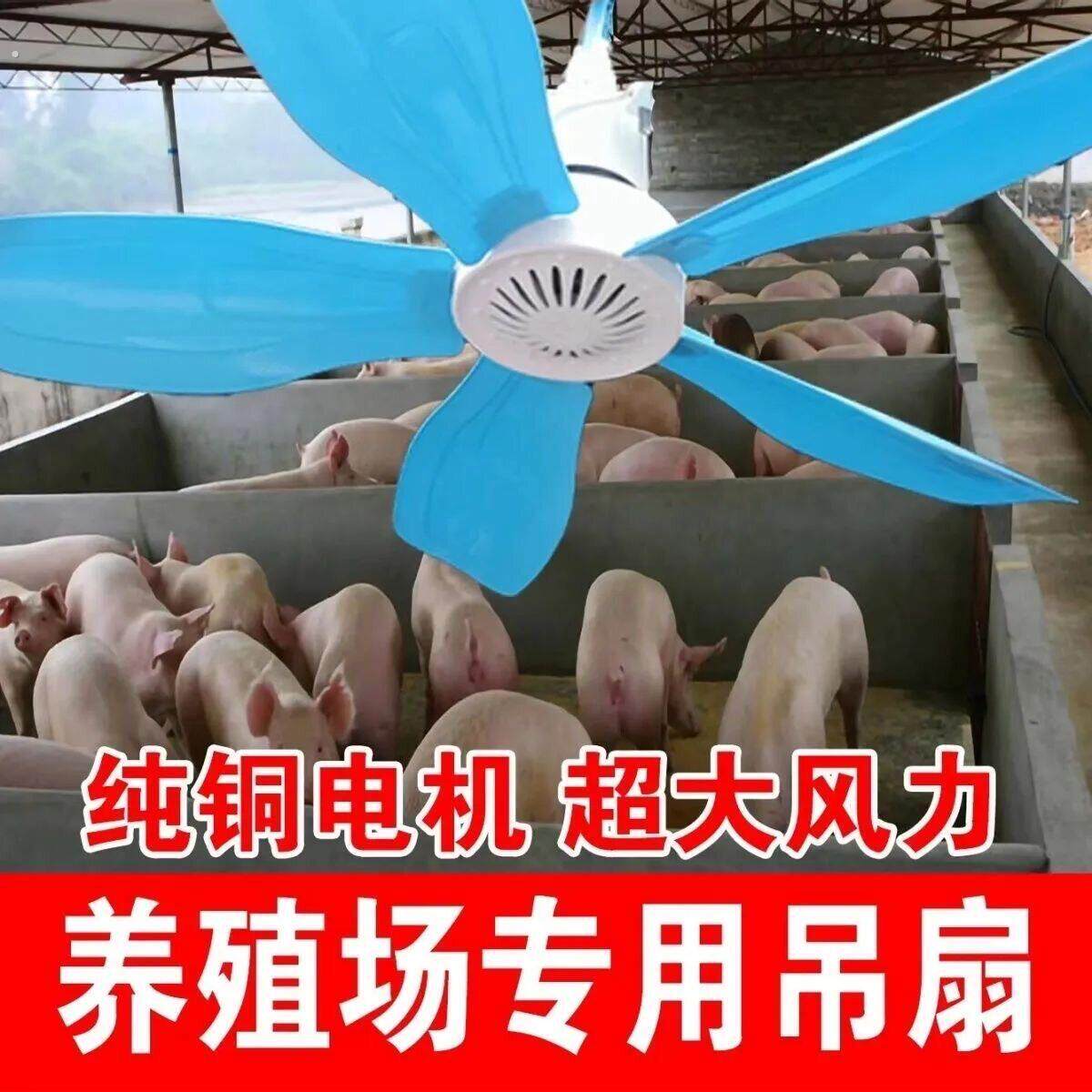 猪场专用吊扇养殖猪舍工厂猪用猪厂降温大冷风饲养电扇猪解热神器