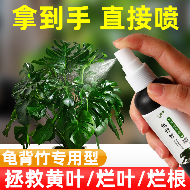 水培龟背竹专用营养液免稀释型肥