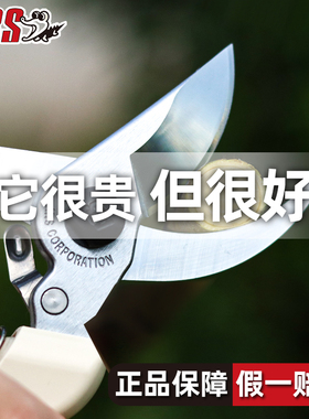 爱丽斯修枝剪爱丽丝剪刀园艺家用果树修剪工具130dx日本原装进口