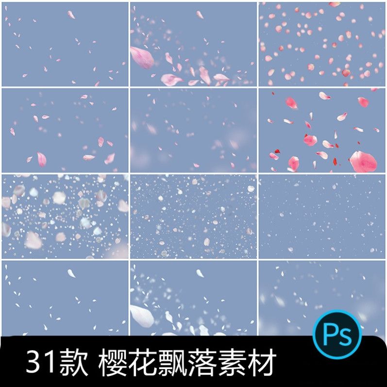 樱花桃花花朵花瓣飘落花纹图案PS/SAI2笔刷预设procreate画笔素材