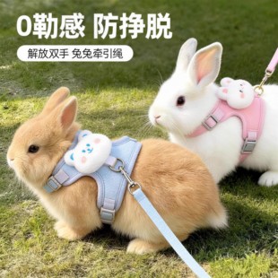 小兔子牵引绳胸背可调节侏儒兔垂耳兔外出遛兔背心式专用绳防挣脱