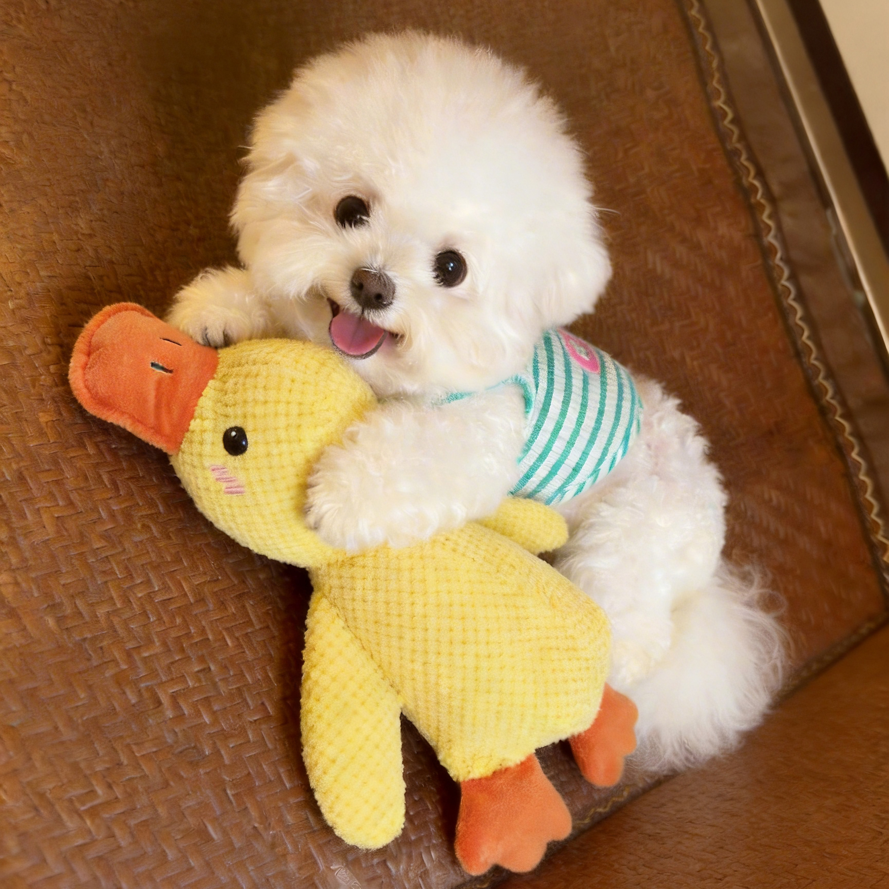 狗狗玩具发声毛绒黄鸭小中大型幼犬磨牙耐咬宠物用品自嗨解闷神器