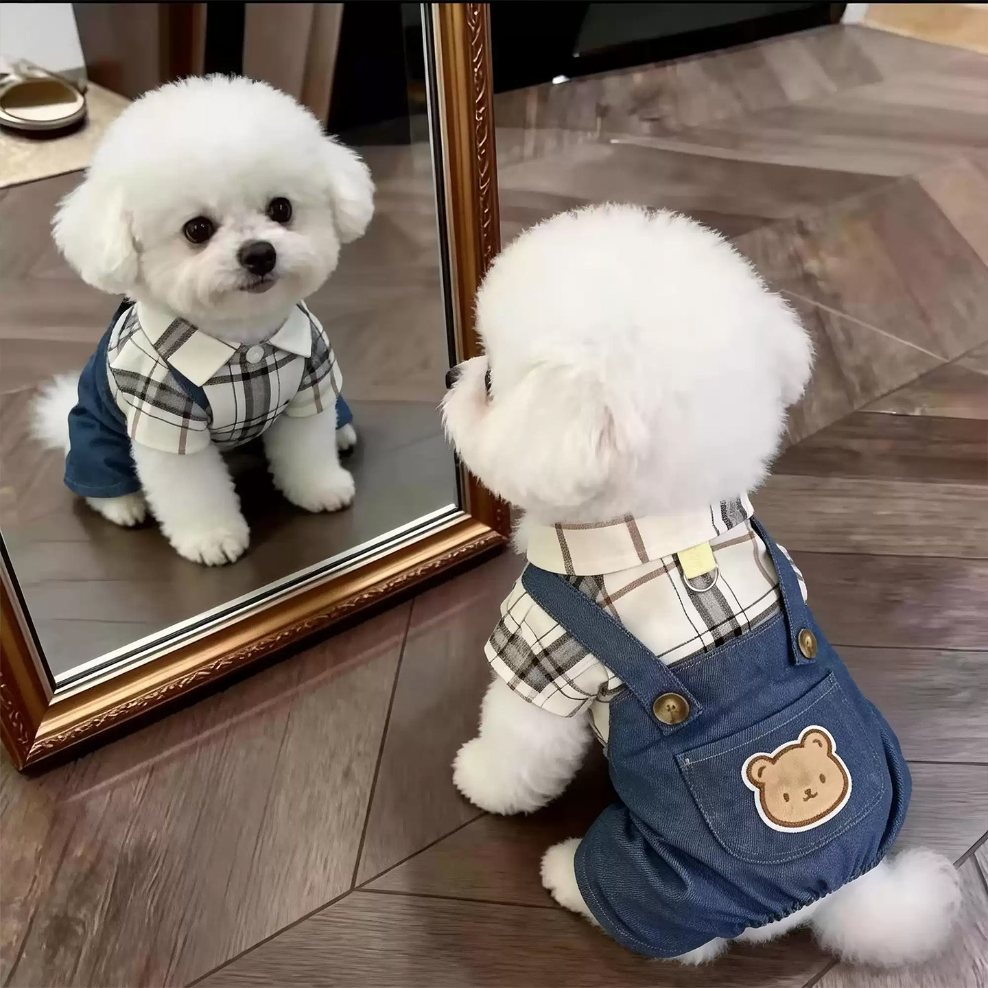 夏季狗狗四脚衣牛仔套装薄款小型犬泰迪比熊休闲背带裤春秋可牵引