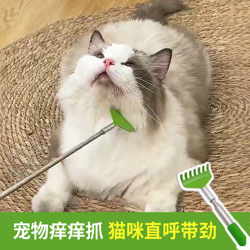 痒痒挠宠物按摩伸缩狗狗互动梳毛