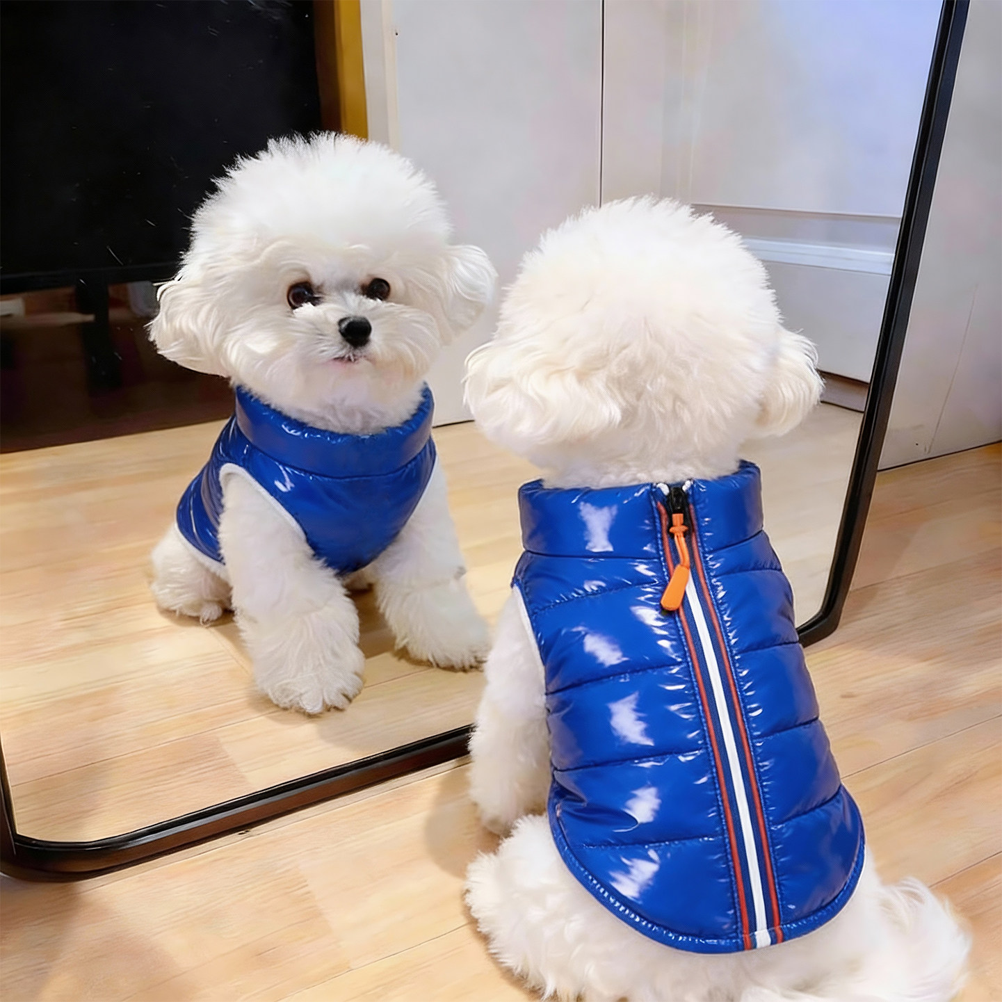 小狗狗羽绒棉马甲秋冬季时尚潮流保暖修身外套比熊小型犬宠物背心,宠物/宠物食品及用品,狗宠物服装/雨衣,淘宝优惠券,粉丝福利购,淘宝优惠卷