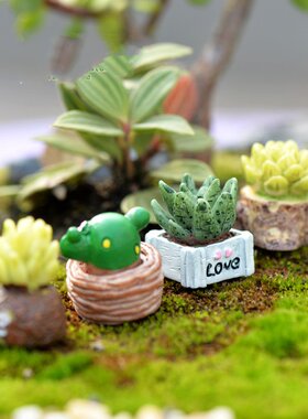 苔藓微景观饰品仿真小多肉摆件