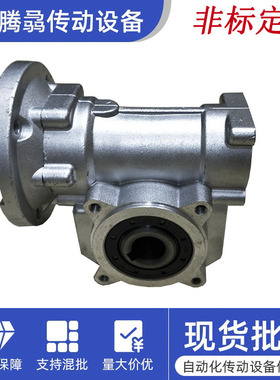 非标定制意大利布鲁尼BRUNI蜗轮蜗杆减速机VF系列VF30/VF44/VF49