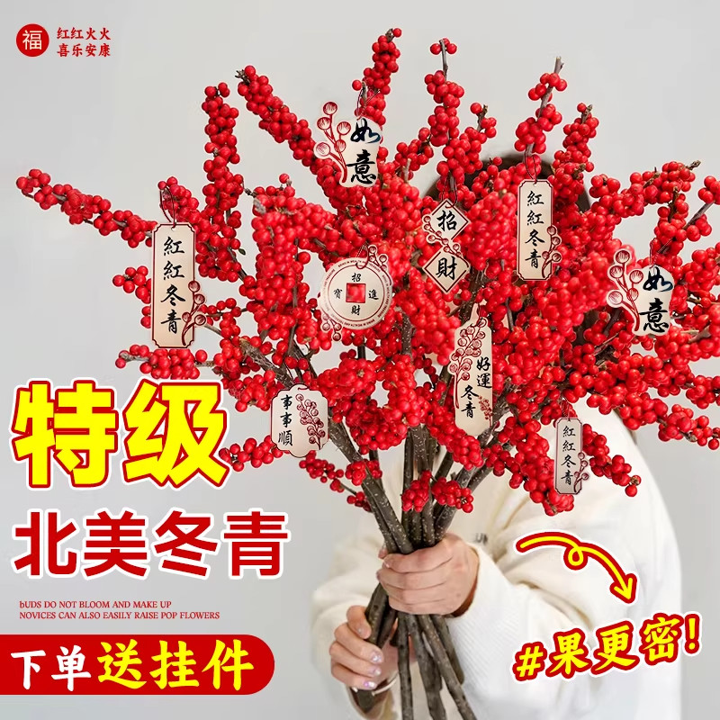 精品进口北美冬青鲜切枝年宵花卉