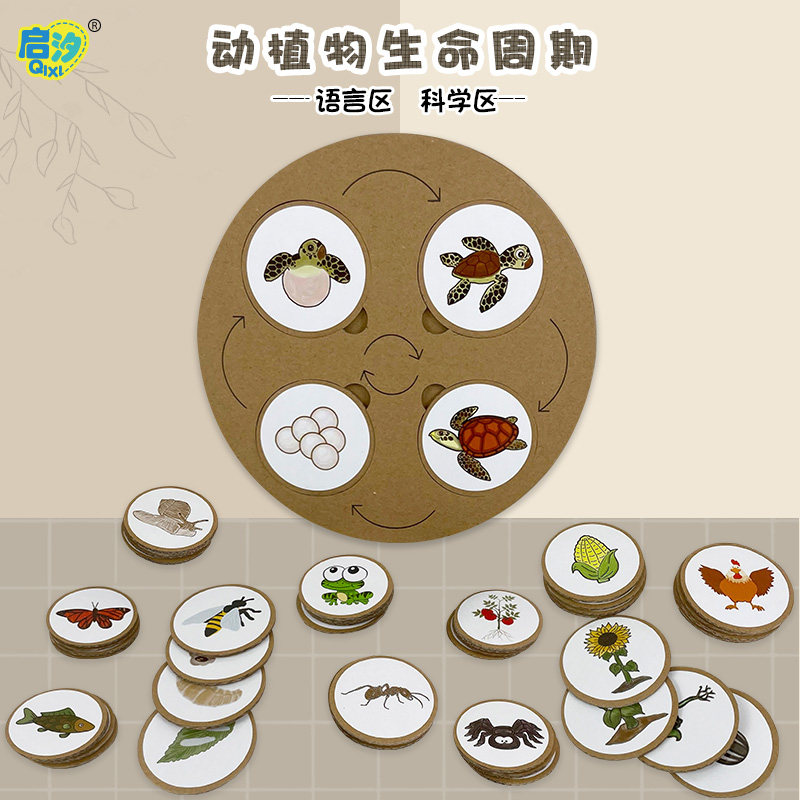 幼儿园环创材料手工制作科学区区域大班益智区投放环境创设区角di