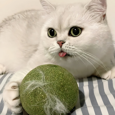 当我买薄荷球忘记看尺寸猫薄荷球