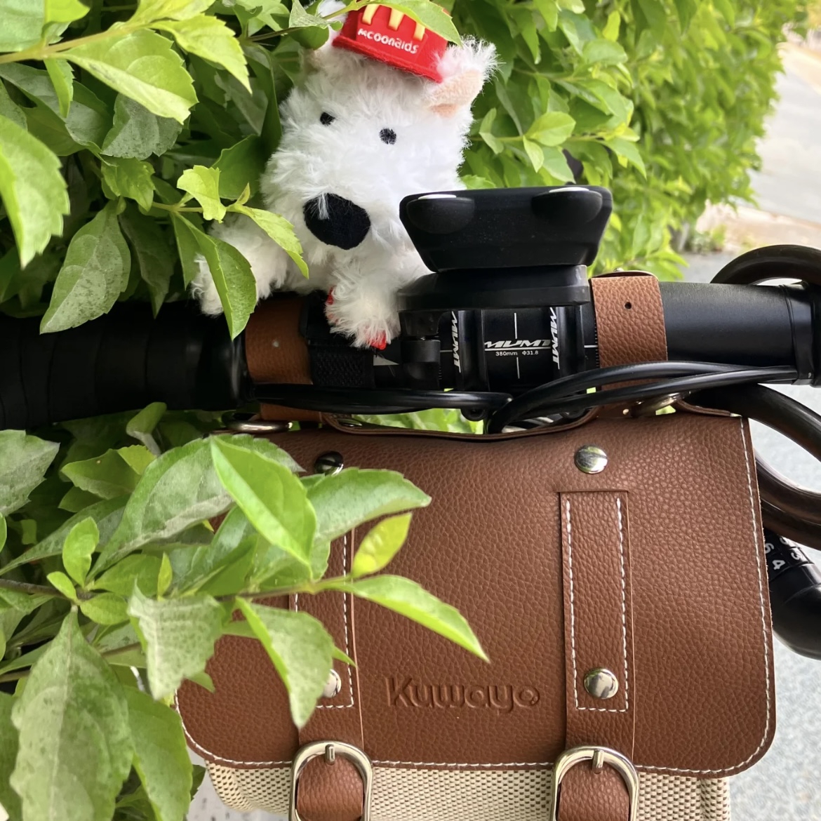 西高地骑车的好搭子自行车装饰