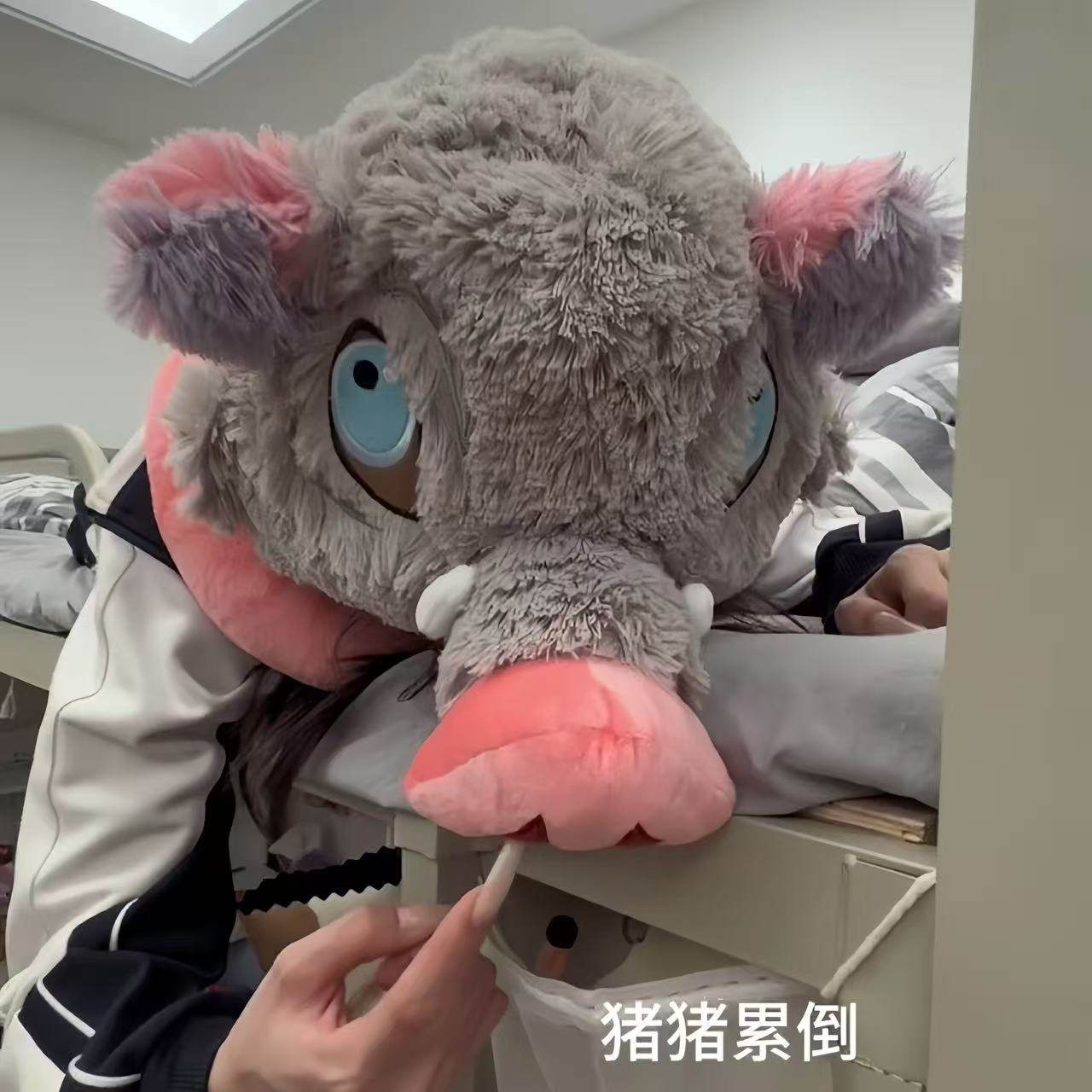 鬼灭之刃猪猪我啊已经住进了寝室