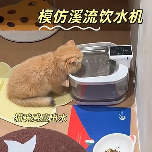 让猫咪爱上喝水自动循环流动活水猫咪狗狗不湿嘴防打翻免插电水盆