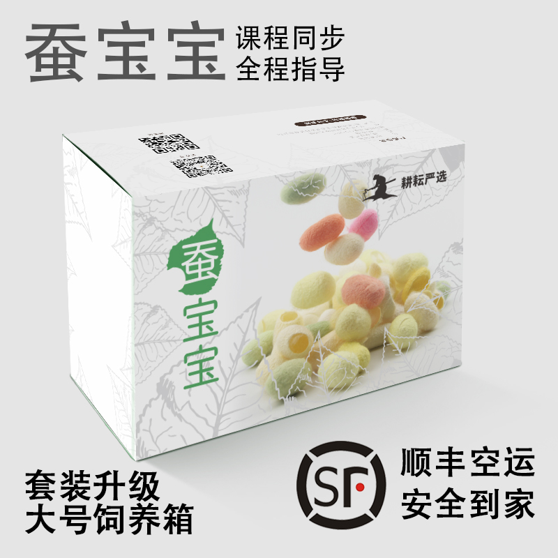 蚕宝宝套装学生养蚕彩色金丝茧子白色蚕卵籽别墅七彩活体新鲜桑叶