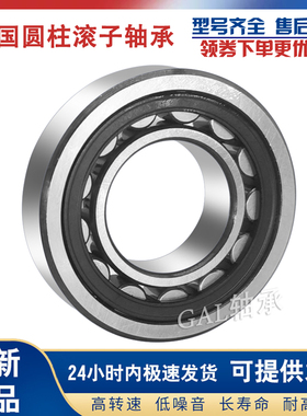 德国GAL轴承NU NJ RNU 1019 1020 1022 1024 E.M1/E.TVP2/C3