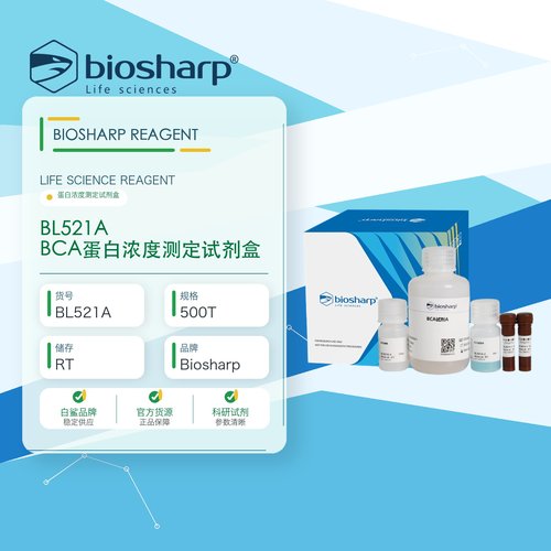 白鲨BiosharpBL521A BCA蛋白浓度测定试剂盒
