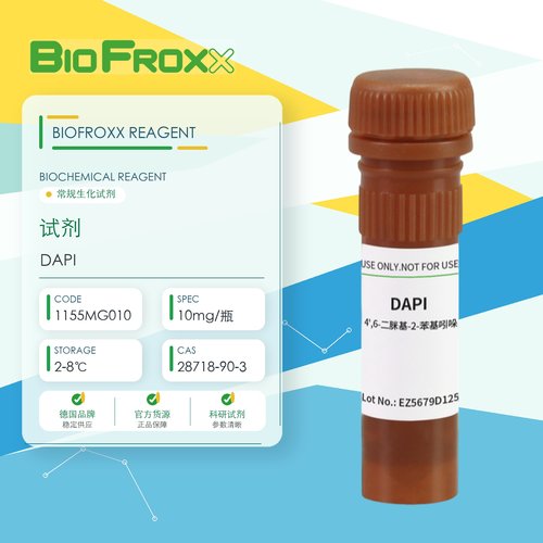 BioFroxx 试剂DAPI