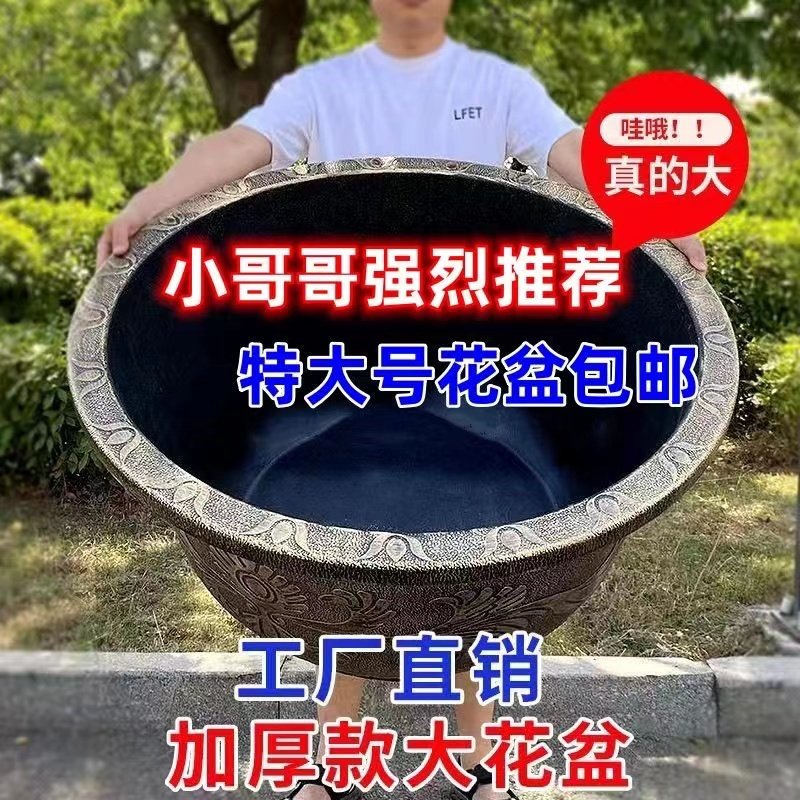 特大号塑料树脂花盆超大果树
