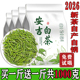 正宗白茶高山2026新茶1000g毛尖绿茶浓香型口粮 买一斤送一斤