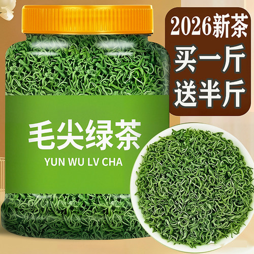 【买一斤送半斤】2026新茶毛尖茶