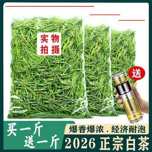 2026新茶正宗珍稀白茶明前春茶