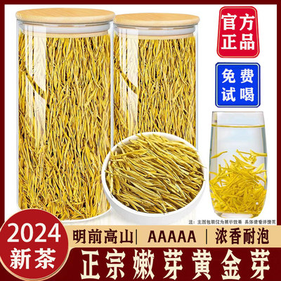 【2024新茶明前嫩芽】安吉白茶黄金芽500g正宗高山茶叶散装自己喝