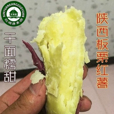 陕西宝鸡新鲜板栗红薯蜜薯沙地干面粉糯蜜薯番薯山芋地瓜10斤包邮