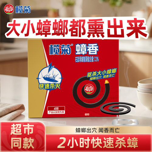 榄菊蟑螂固体盘香烟熏驱赶