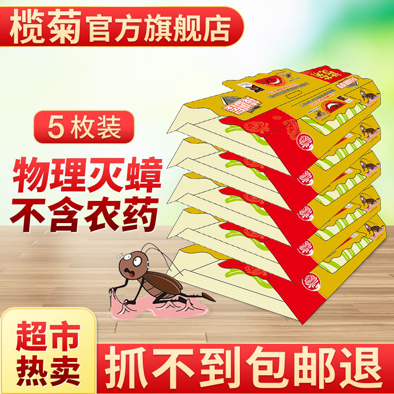 榄菊蟑螂屋杀蟑螂家用强力粘蟑螂贴除灭蟑螂药非无毒小强蟑螂