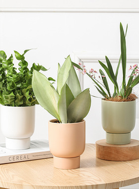 北欧花盆 创意简约白色陶瓷小花盆带托盘 室内绿植多肉陶瓷盆