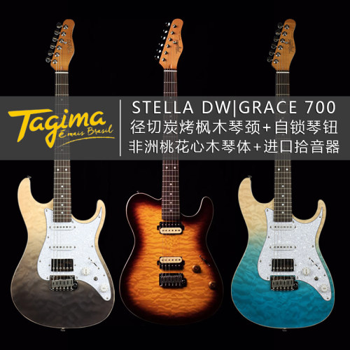 tagima塔吉玛stelladw枫木电吉他