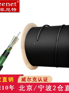 Pheenet菲尼特室外单模万兆地埋重铠GYTA53/GYTS53光缆层绞式4/6/8/12/24/48芯72芯96芯144芯