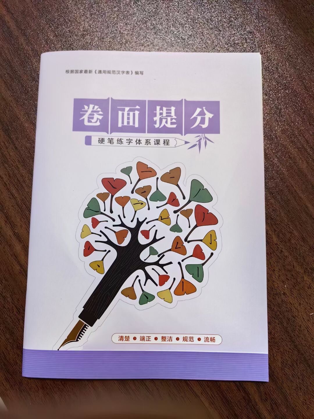 卷面提分 练字班实用书写字体 硬笔楷书规范字 单字词语句子通篇