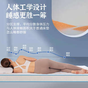 高密度冬季 海绵床垫1.5m1.8m加厚家用卧室床褥垫单人软垫家用垫子