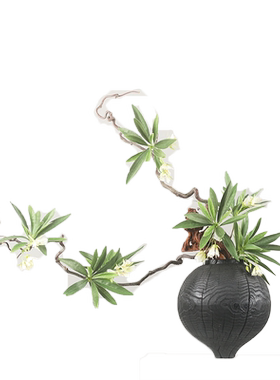 碳化花艺玄关木新中式