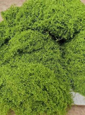 Green Fake Moss DIY Crafts Grass Artificial Moss Faux Preser