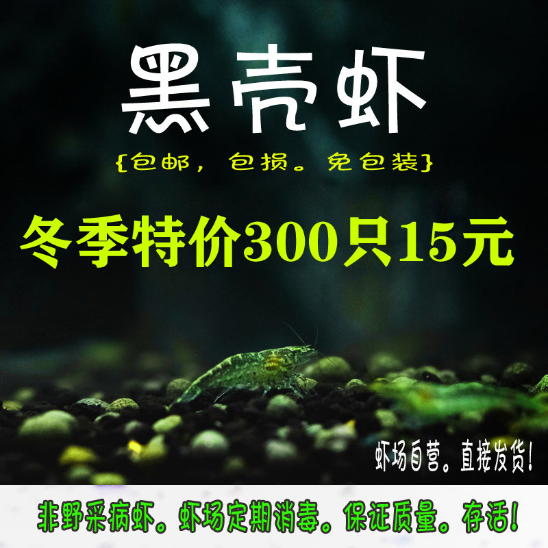 黑壳虾除藻虾清洁虾草缸工具虾鱼缸观赏虾宠物活体虾场自营非野采,宠物/宠物食品及用品,虾,淘宝优惠券,粉丝福利购,淘宝优惠卷