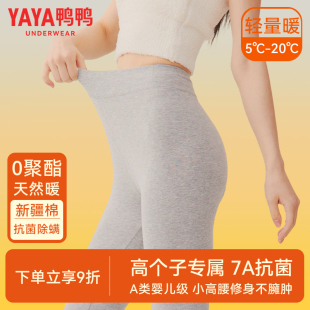 棉毛裤 女款 修身 鸭鸭纯棉保暖裤 秋裤 女士内穿打底裤 大码 2025新款