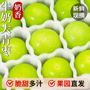 新鲜牛奶大青枣枣子贵妃冬枣时令水果当季 整箱奶油脆枣脆甜冬枣子