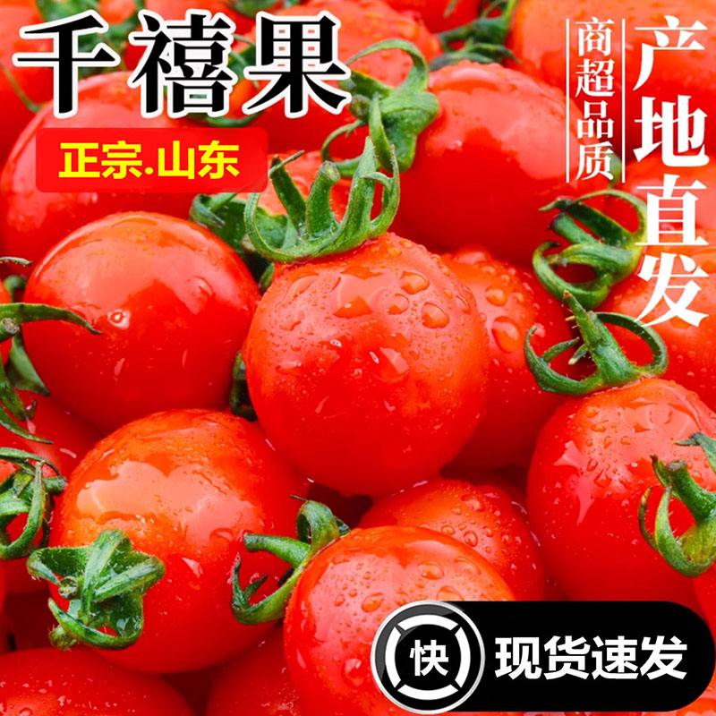 山东农家圣女果新鲜小番茄西红柿5斤水果当季蔬菜生吃自然熟3孕妇