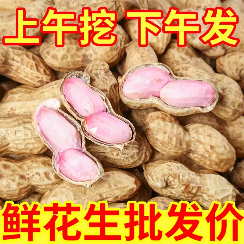 2026新鲜湿花生现挖现发农家自种生花生带壳鲜花生可榨油水煮散装
