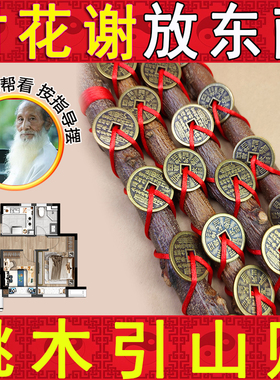 天然桃木东南桃木五帝钱山鬼钱