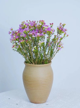 景德镇陶瓷花瓶【素色蜂蜜罐 经典器型】