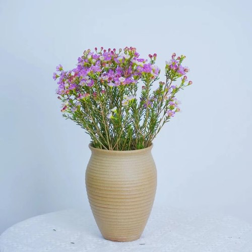 景德镇陶瓷花瓶【素色蜂蜜罐 经典器型】