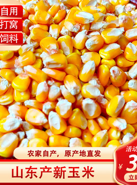 山东干玉米粒常温老式爆米花