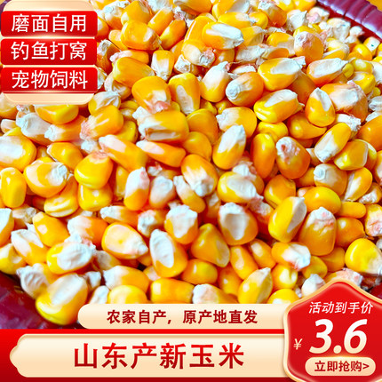 干玉米粒喂鸡鸽粮老玉米老式爆米花钓鱼打窝酿酒磨面鸡鸭鹅鸟新货