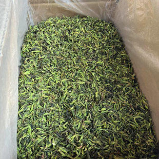 2026年头春 大雪山野生古树白 深林白茶 芽苞白 香甜鲜爽醇200克