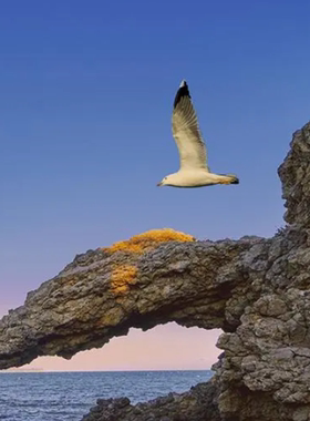 这是一家感情店一分钱素材