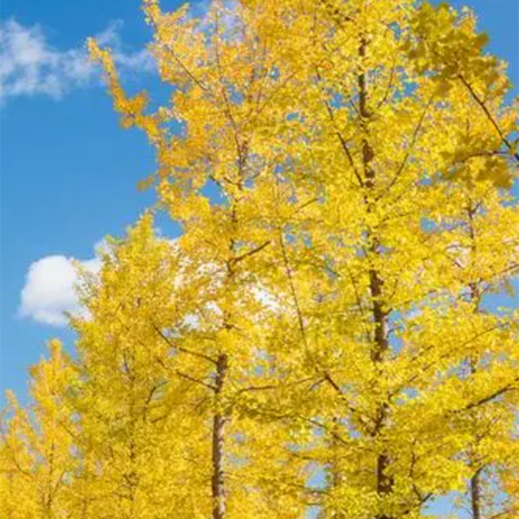 这是一家感情店一分钱素材