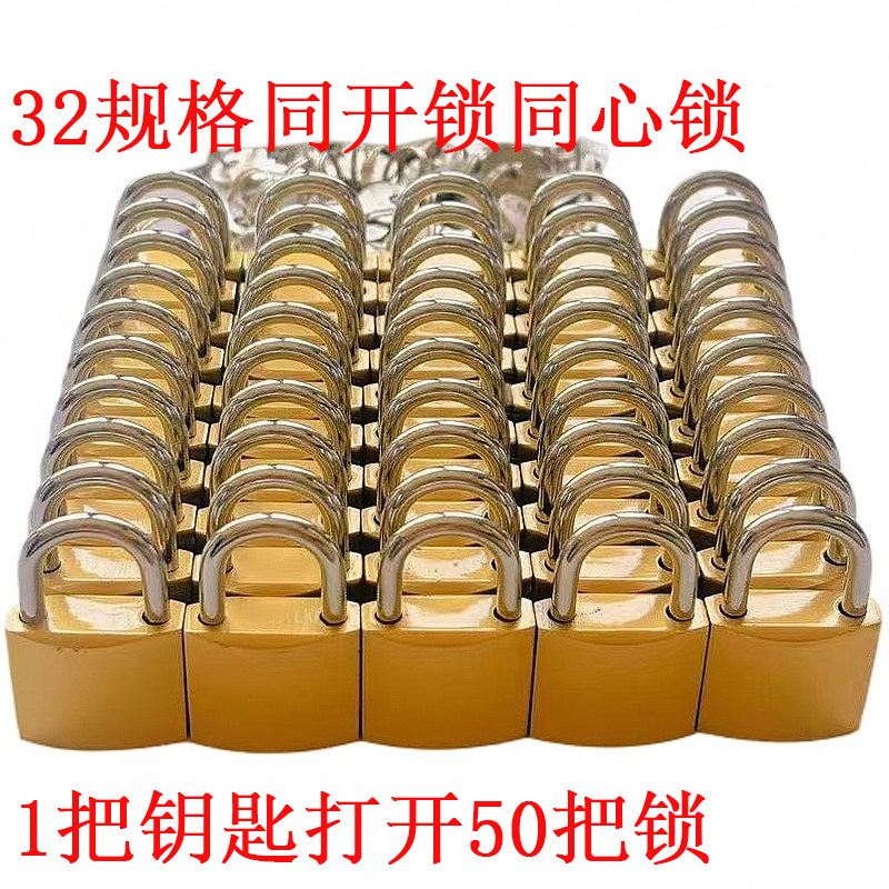 通开挂锁通用锁具大门锁宿舍柜子一把钥匙开多把锁锁头迷你家用 - 实物图